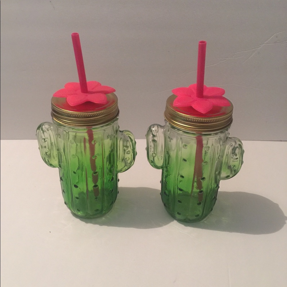 Glass Cactus Water Bottles 13.5 fl oz